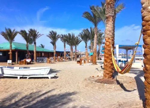 Abu Dabbab Schnorchel Ausflug
